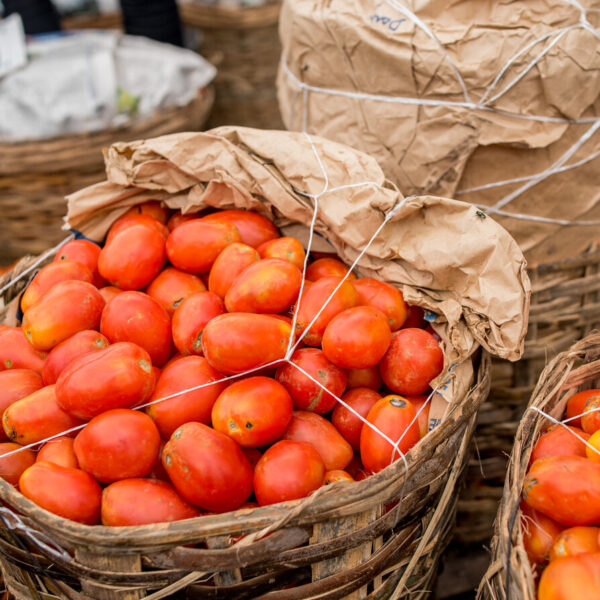 Foumbot Round Red Tomatoes